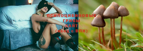 прущая мука Беломорск