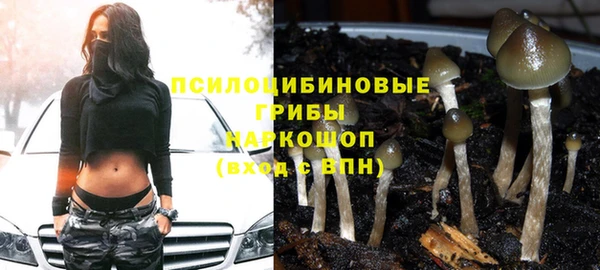 бутират Белокуриха