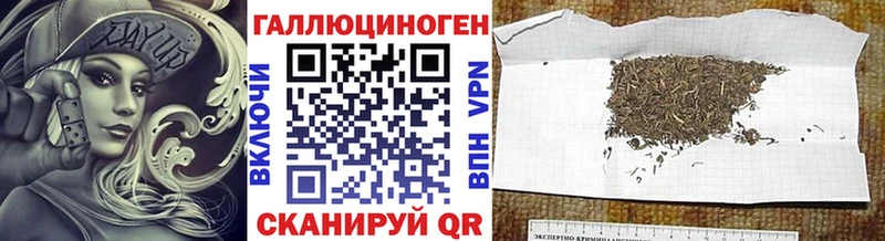 наркота  Юхнов  Галлюциногенные грибы Psilocybine cubensis 